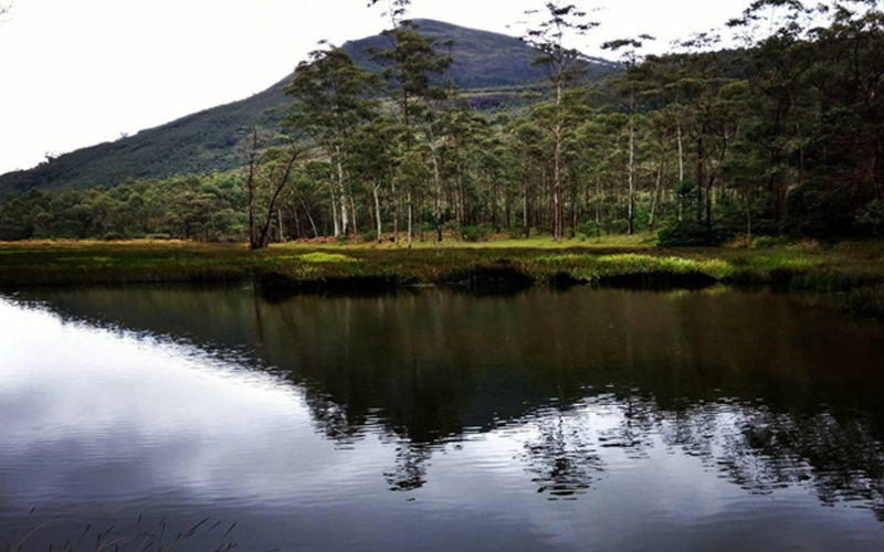 MUNNAR TREKKING BOOKING AVAILABLE