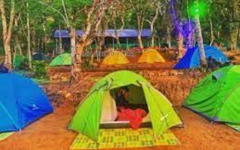 Tent Stays Available-Suriyanalli & kolukkumalai,Munnar