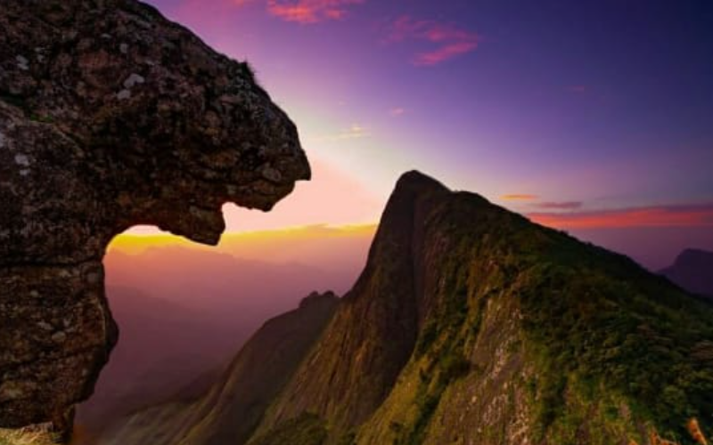 Kolukkumalai Jeep Safari Munnar
