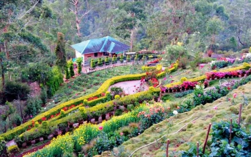 4 Nights 5 Days Kerala Tour Package | Cab Available