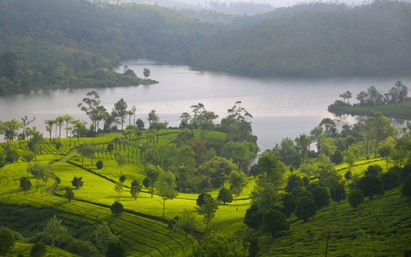 3 Nights 4 Days Kerala Tour Package | Cab Available