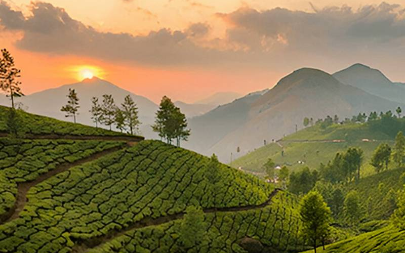 2 Nights 3 Days Kerala Tour Package | Cab Available