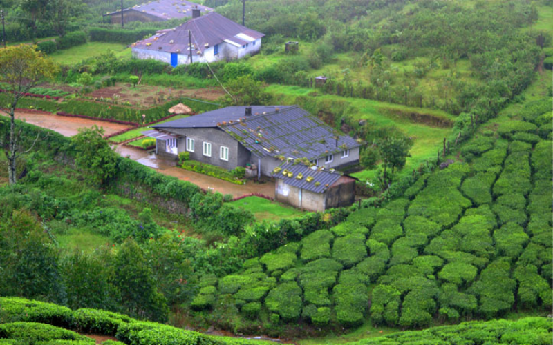Devikulam Cab Service