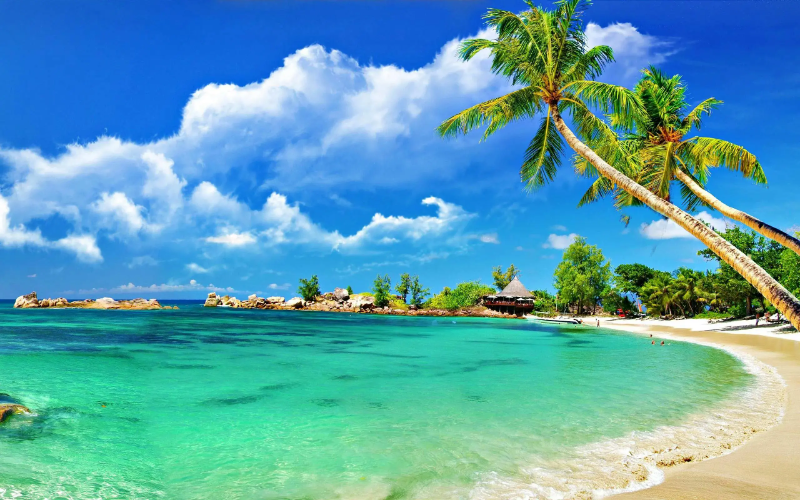 Kerala Tour Packages from Abu Dhabi
