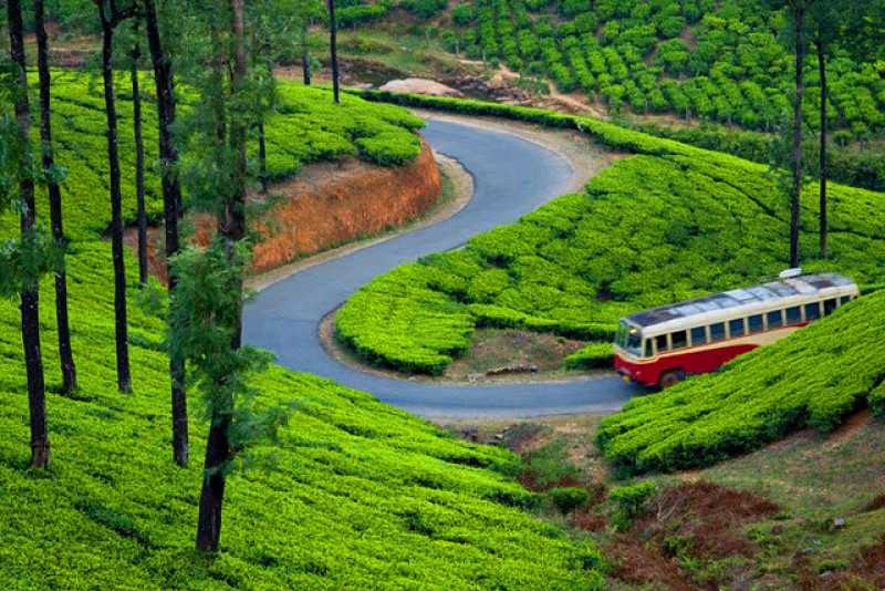 Munnar-Tourist-Place