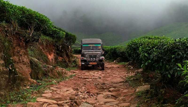 Munnar-Tourist-Place
